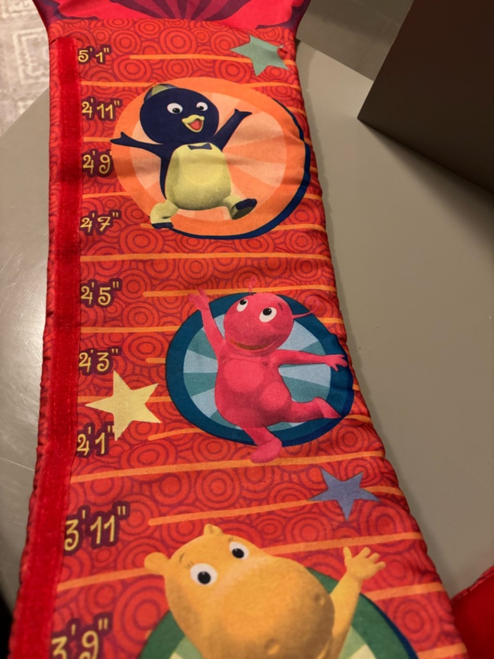 Backyardigans Growth Chart - Picture 4 of 6